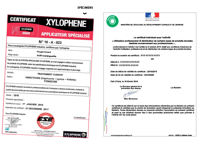 certificats-xylophene-groupe-le-carre