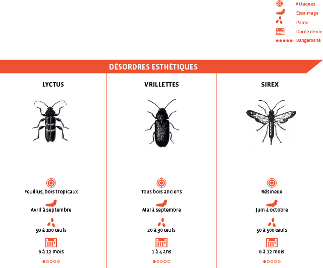 parasites-destructeurs-desordres-estehtiques-groupe-le-carre