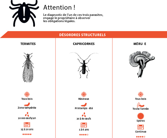 parasites-destructeurs-desordres-structurel-groupe-le-carre